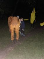 nocni_hra (8).jpeg